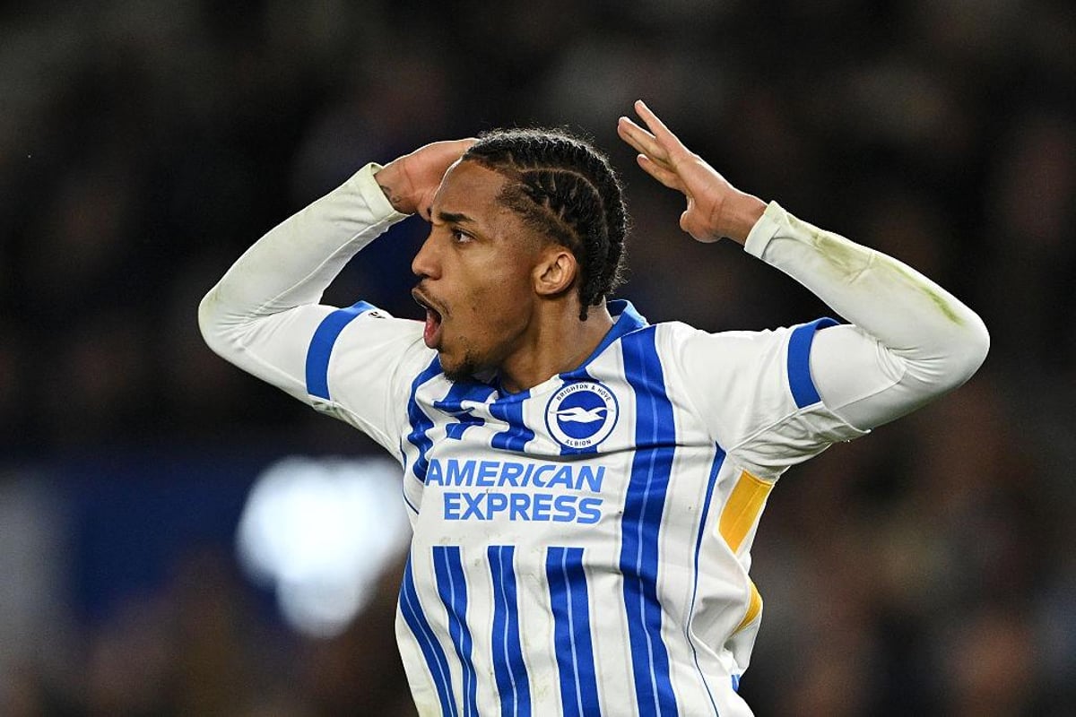 A picture of Brighton and Hove Albion striker João Pedro