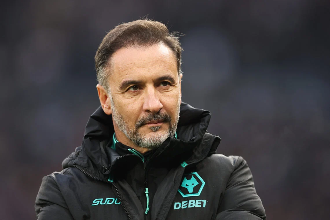 Wolves manager Vitor Pereira